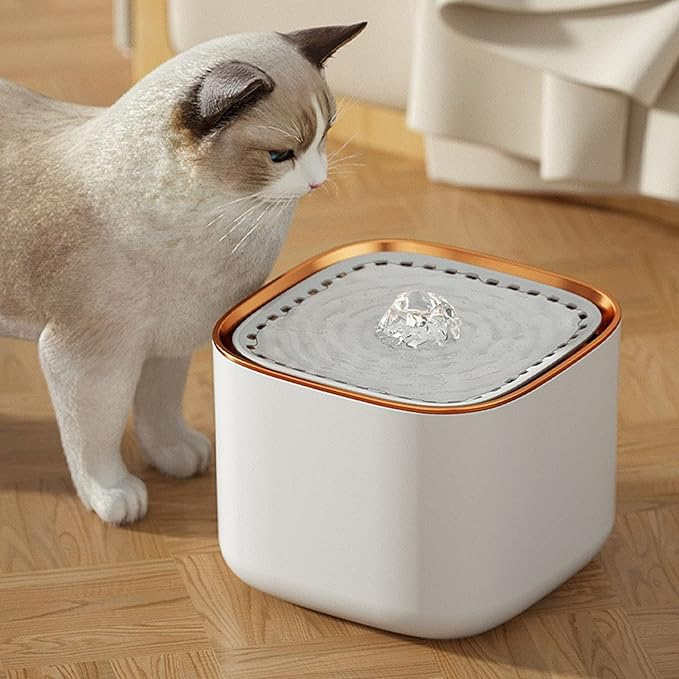 3L USB Pet Water Fountain