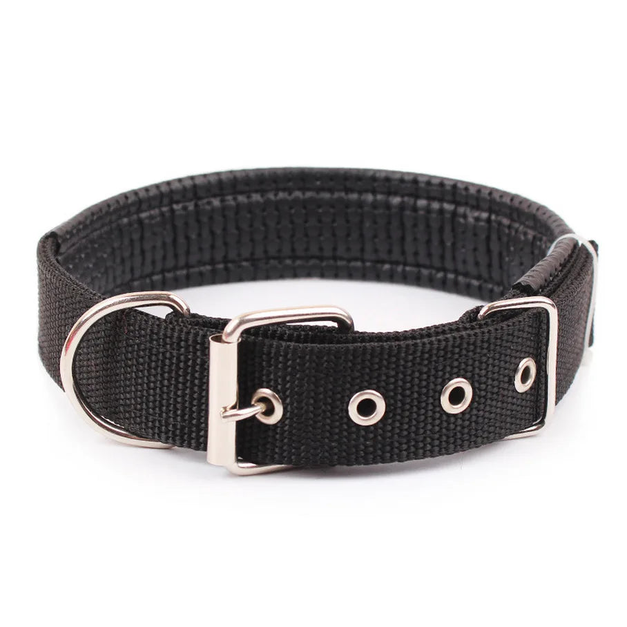 Durable Nylon Dog Collar