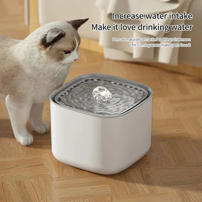 3L USB Pet Water Fountain